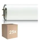 Confezione Multipack 25x Philips TL-DK 36W - Blacklight | 60cm - Insectkiller